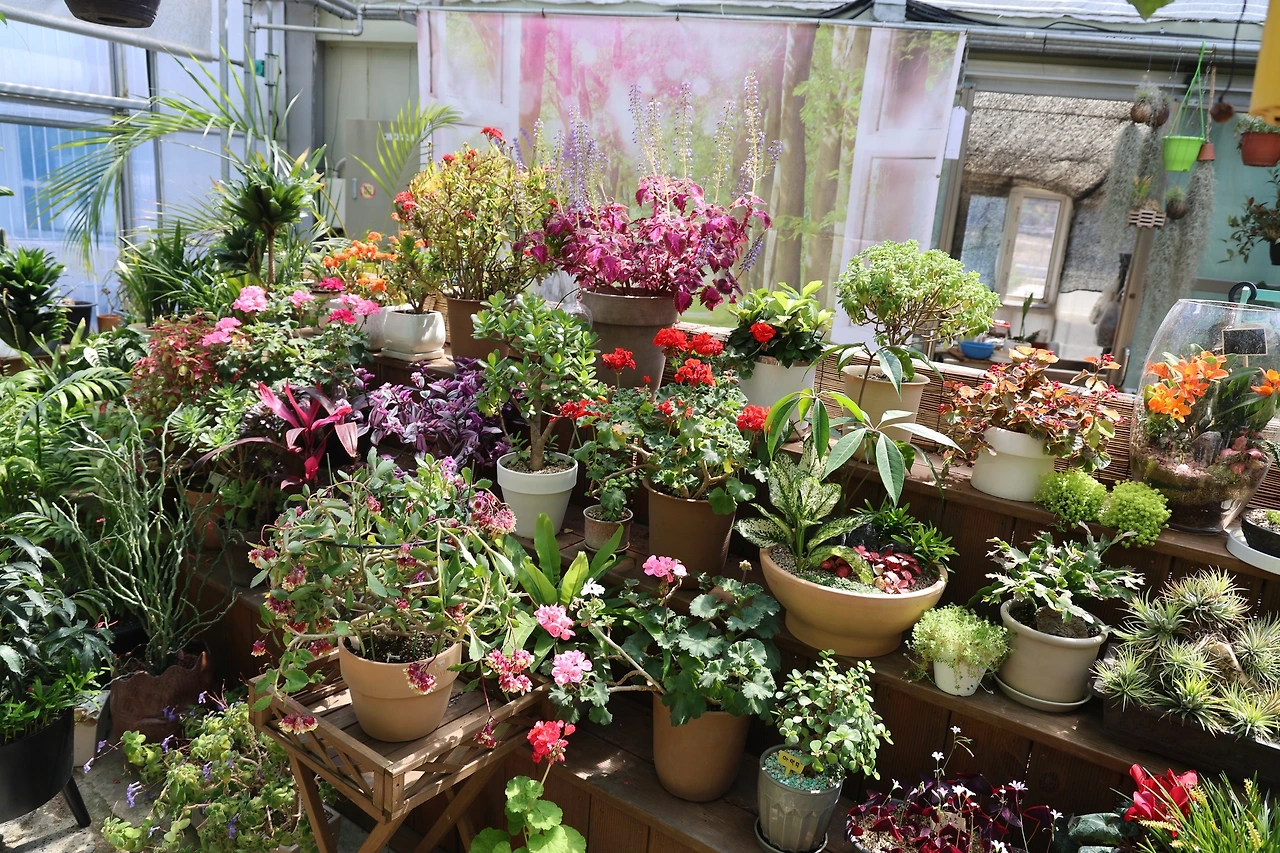 0R5A5897_новый размер.JPG