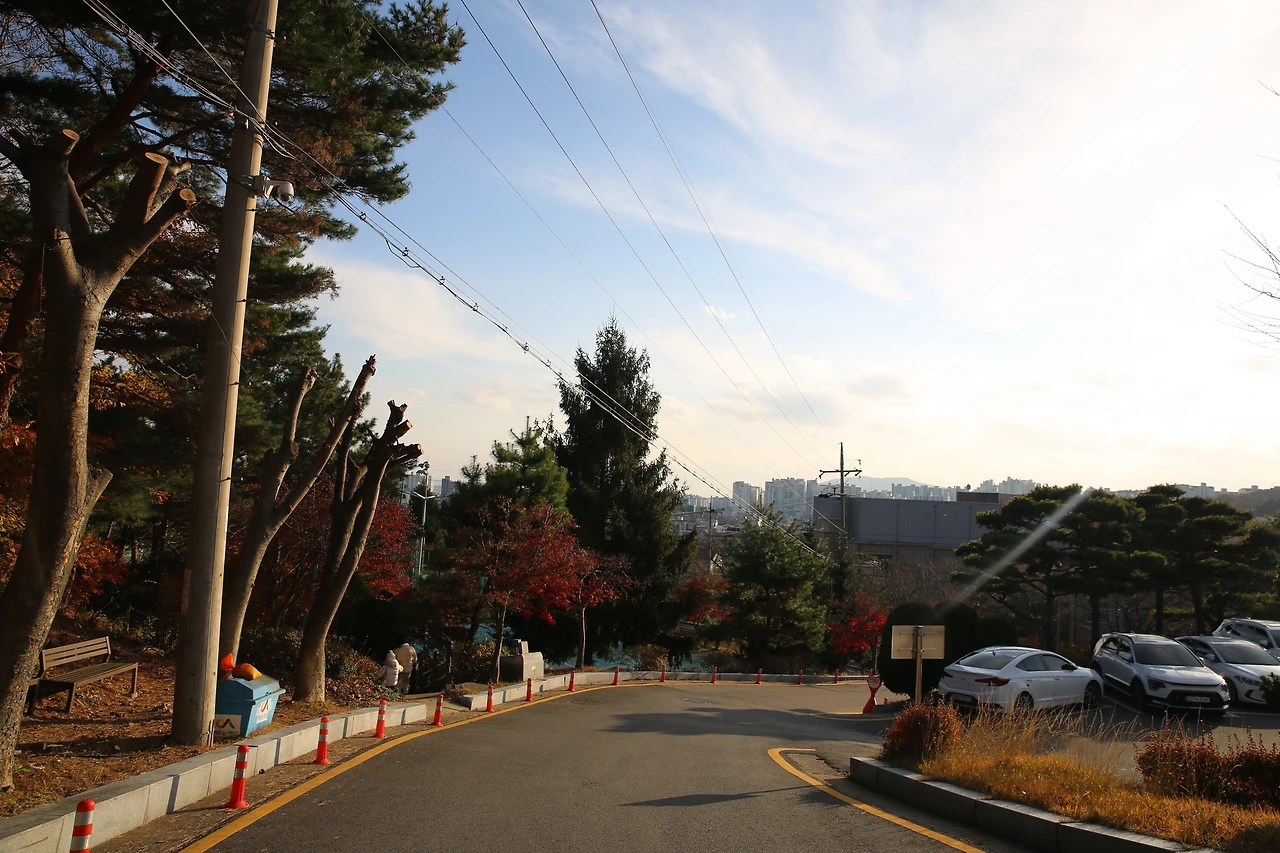 MG0A2939_новый размер.JPG