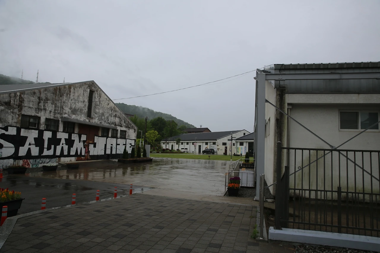 MG0A3109_новый размер.JPG