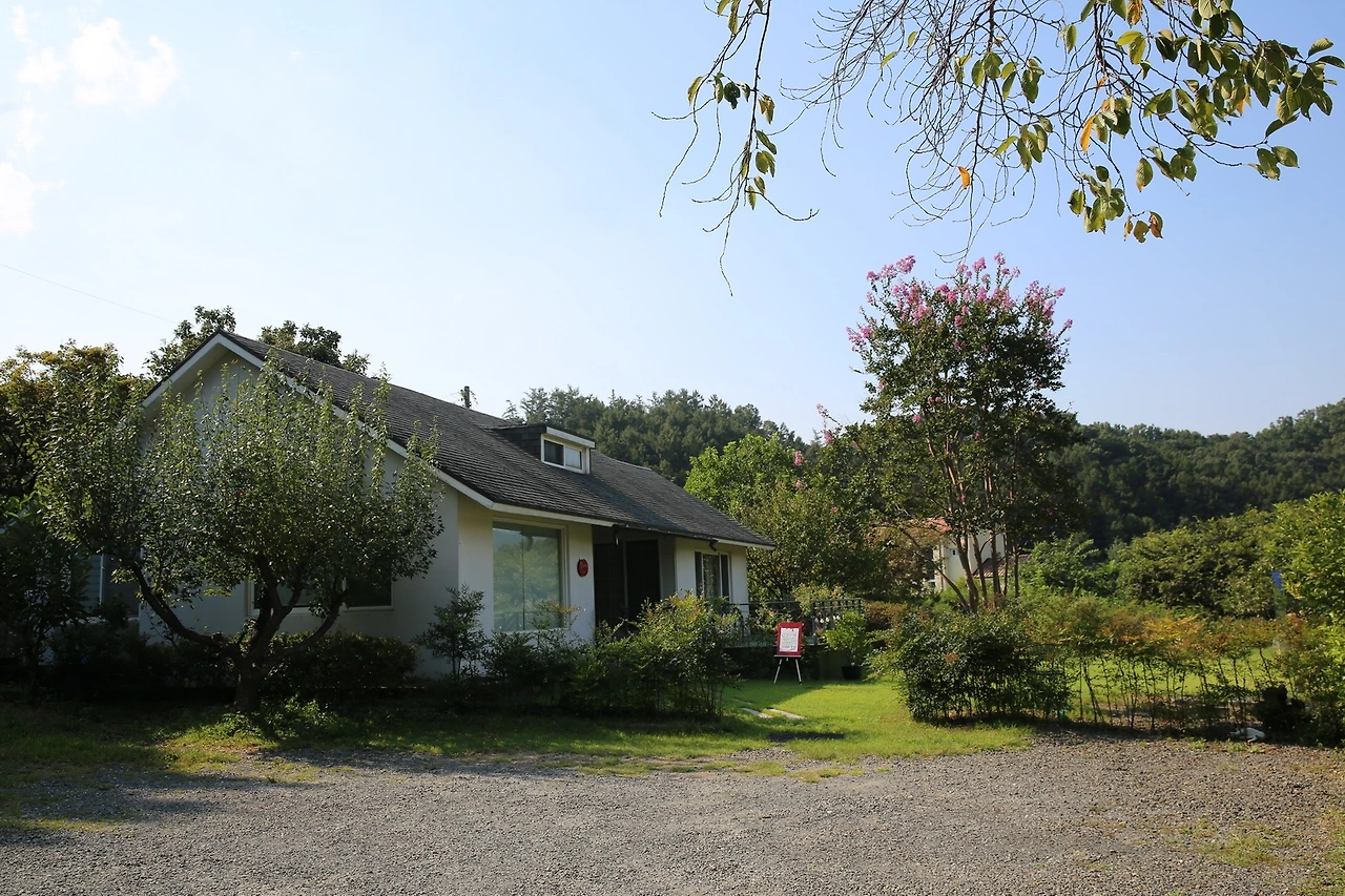 MG0A1562_новый размер.JPG