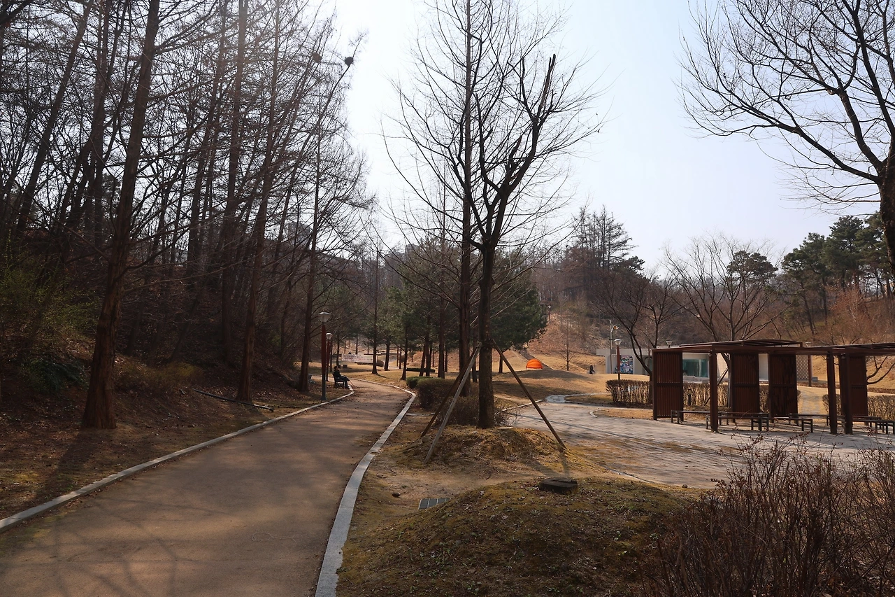 0R5A5503_новый размер.JPG