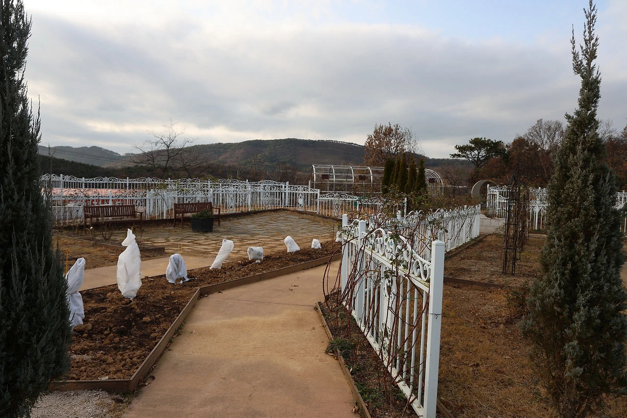 0R5A5002_новый размер.JPG