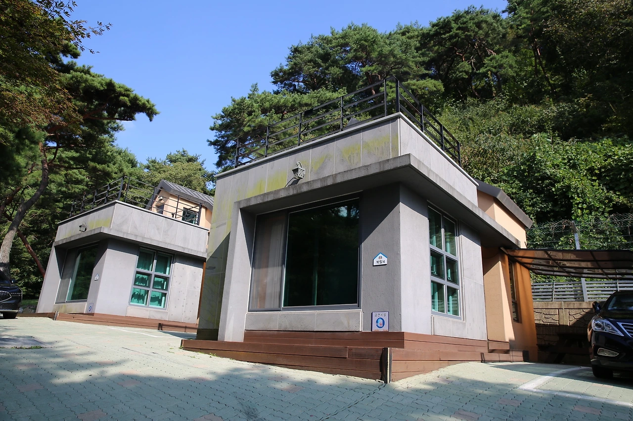 MG0A0530_новый размер.JPG