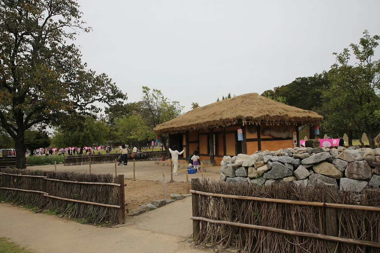 MG0A5220_новый размер.JPG