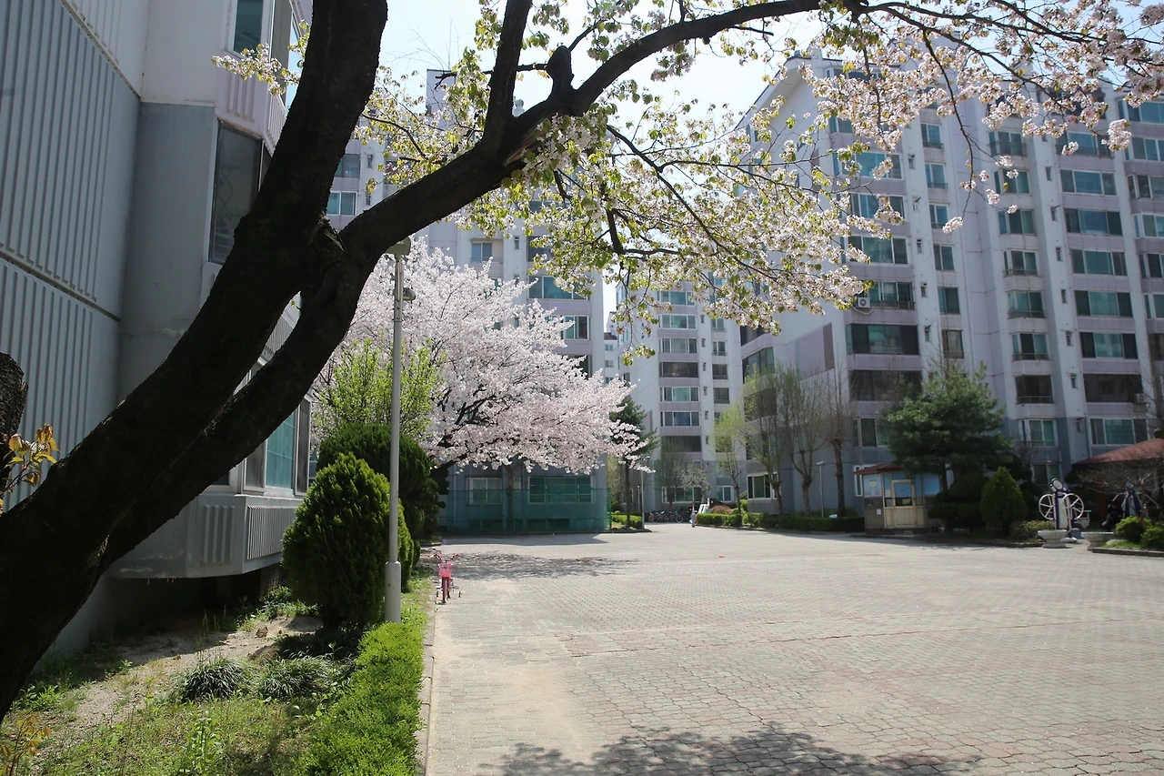 MG0A8518_новый размер.JPG