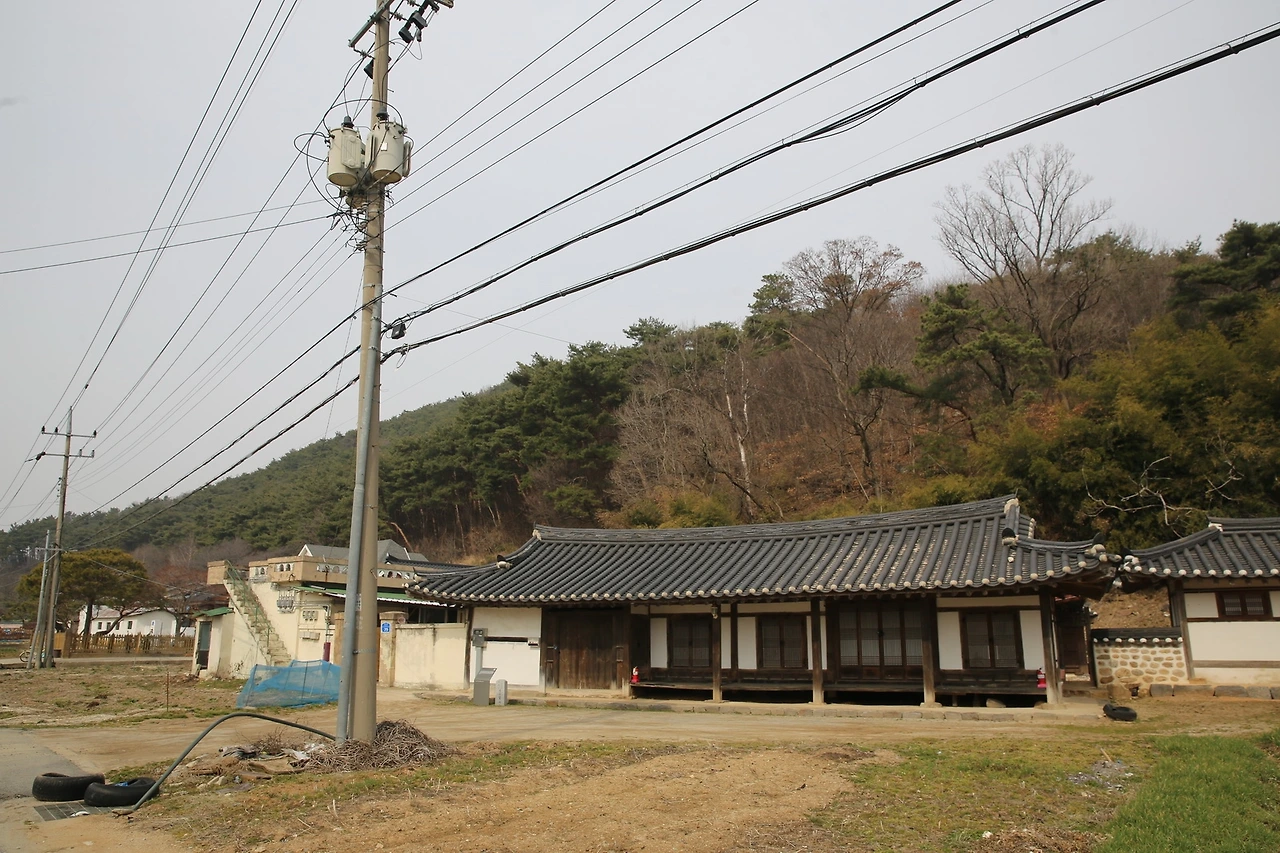 MG0A2156_новый размер.JPG