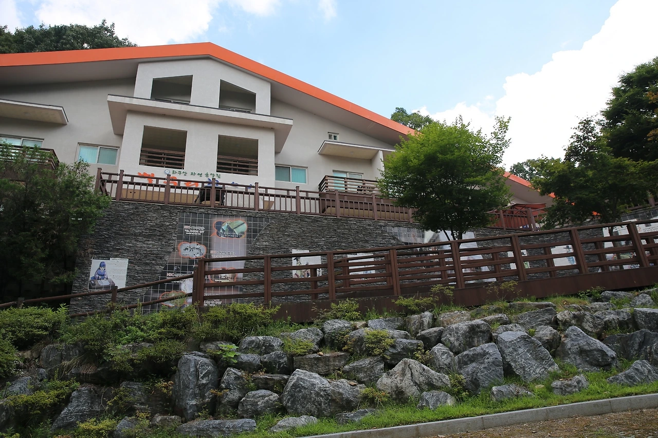 MG0A7900_новый размер.JPG