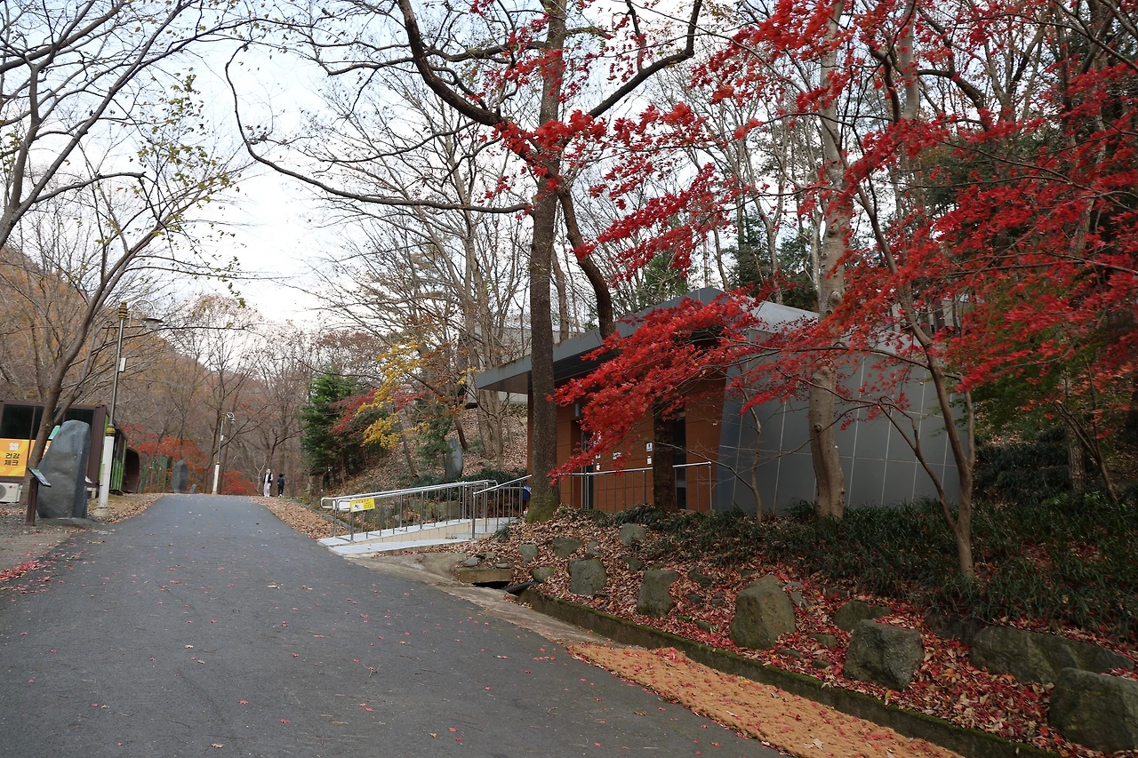 0R5A3127_новый размер.JPG