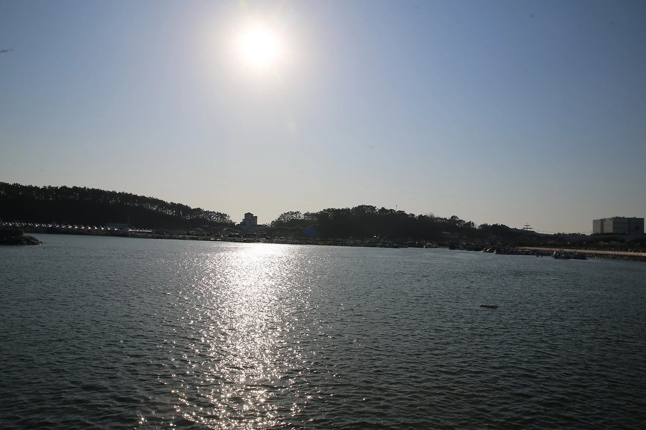 MG0A3563_новый размер.JPG