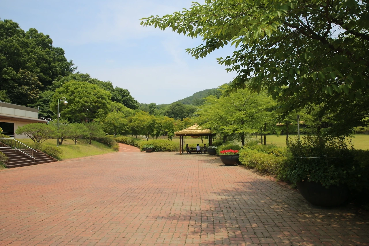 MG0A2412_новый размер.JPG