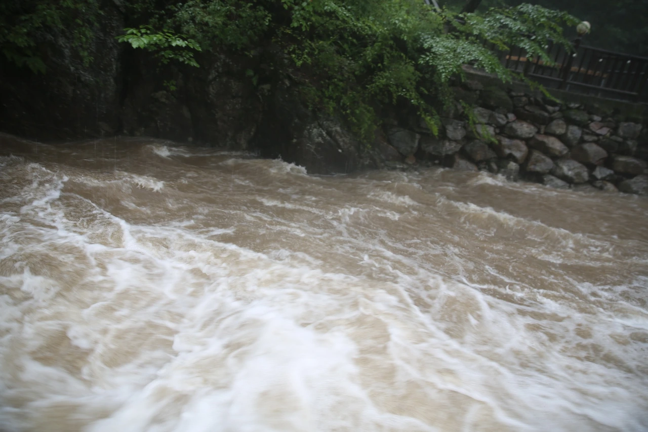 MG0A3360_новый размер.JPG