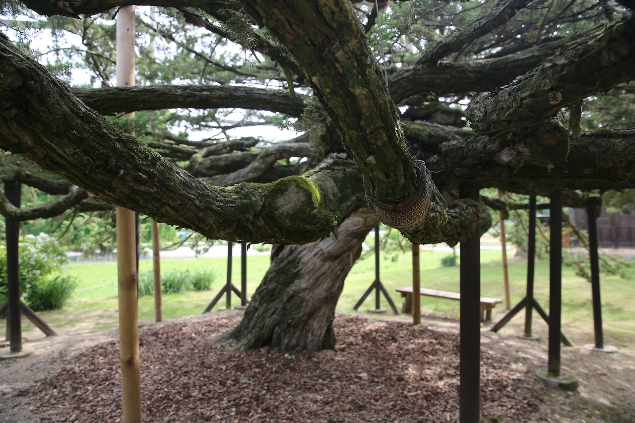 MG0A9646_новый размер.JPG