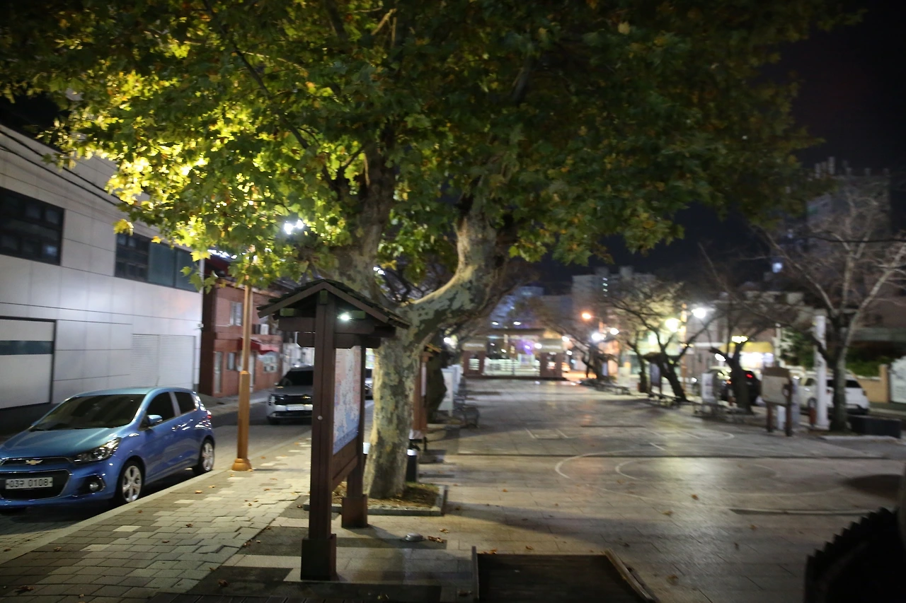 MG0A0348_новый размер.JPG