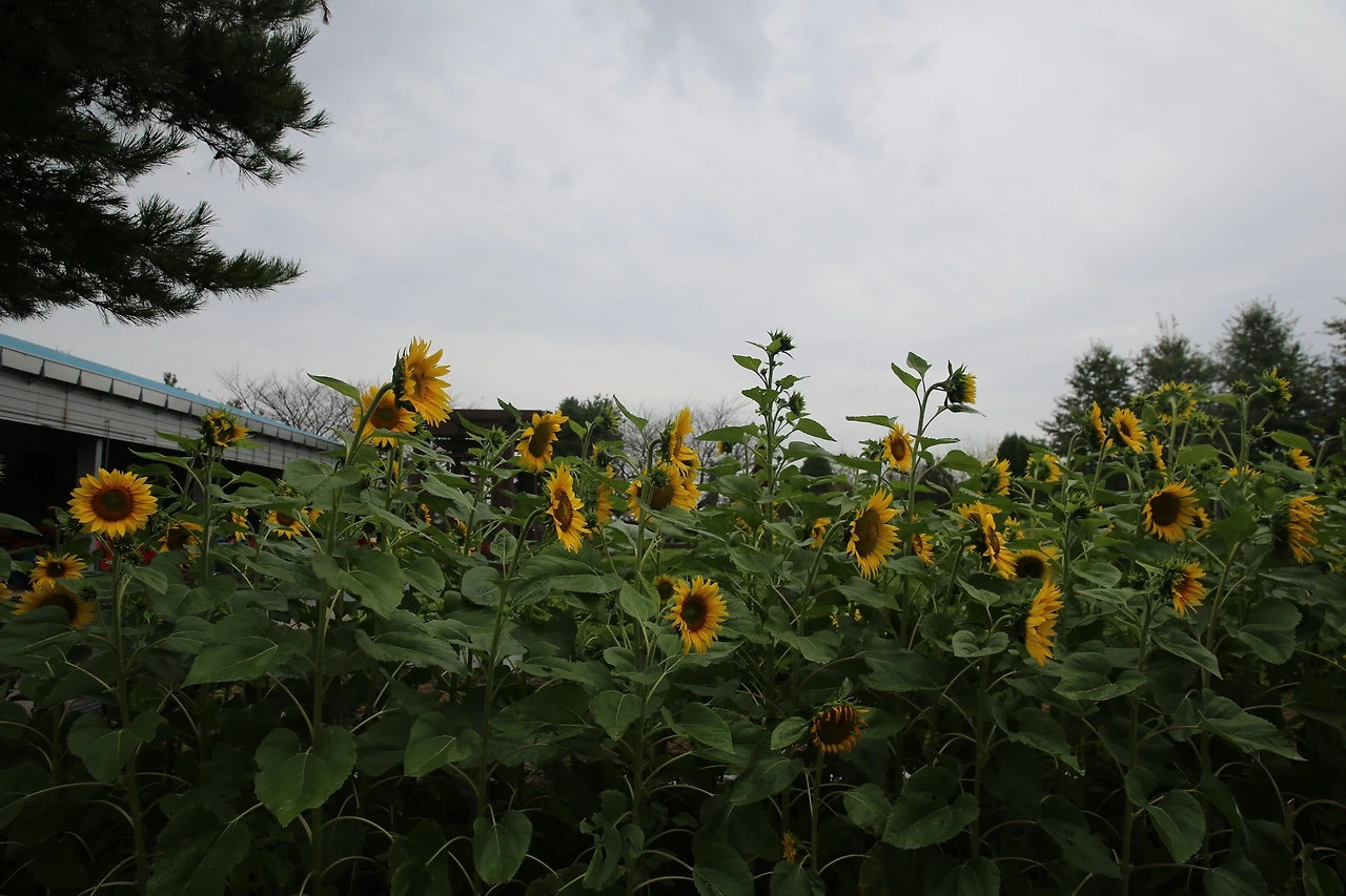 MG0A5034_новый размер.JPG