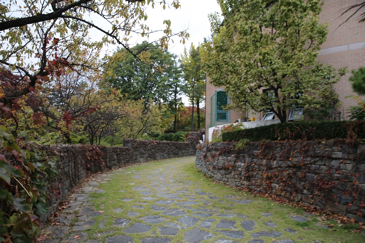 MG0A7701_новый размер.JPG