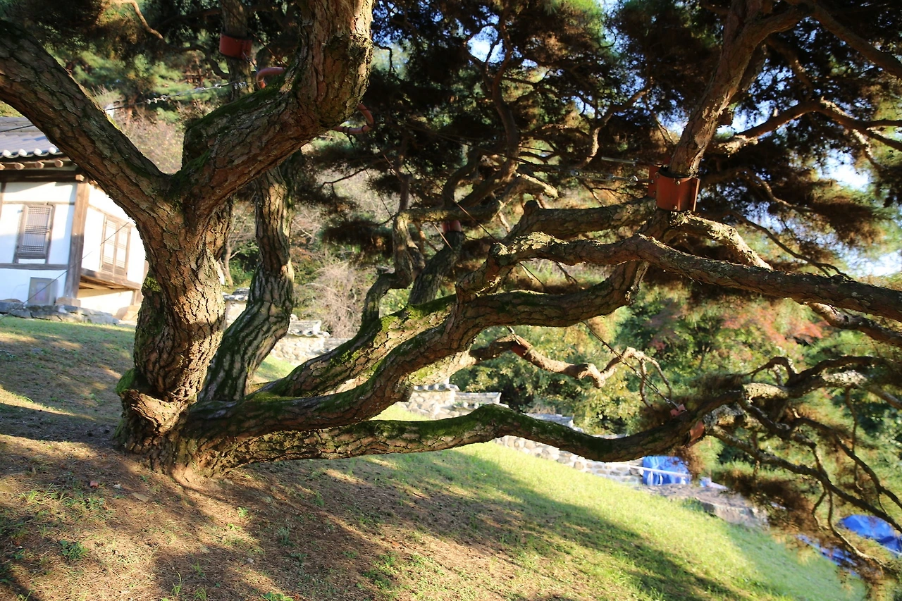 MG0A6687_новый размер.JPG