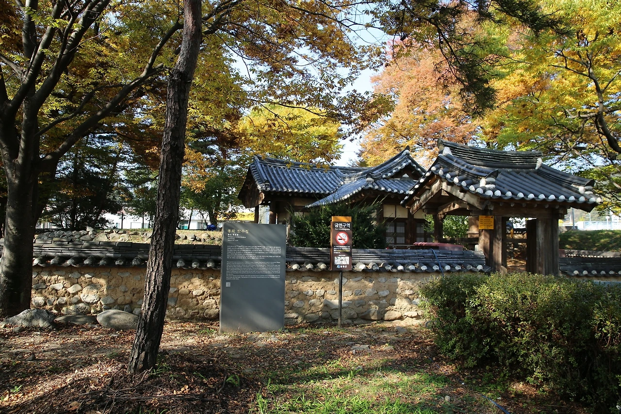 MG0A8329_новый размер.JPG