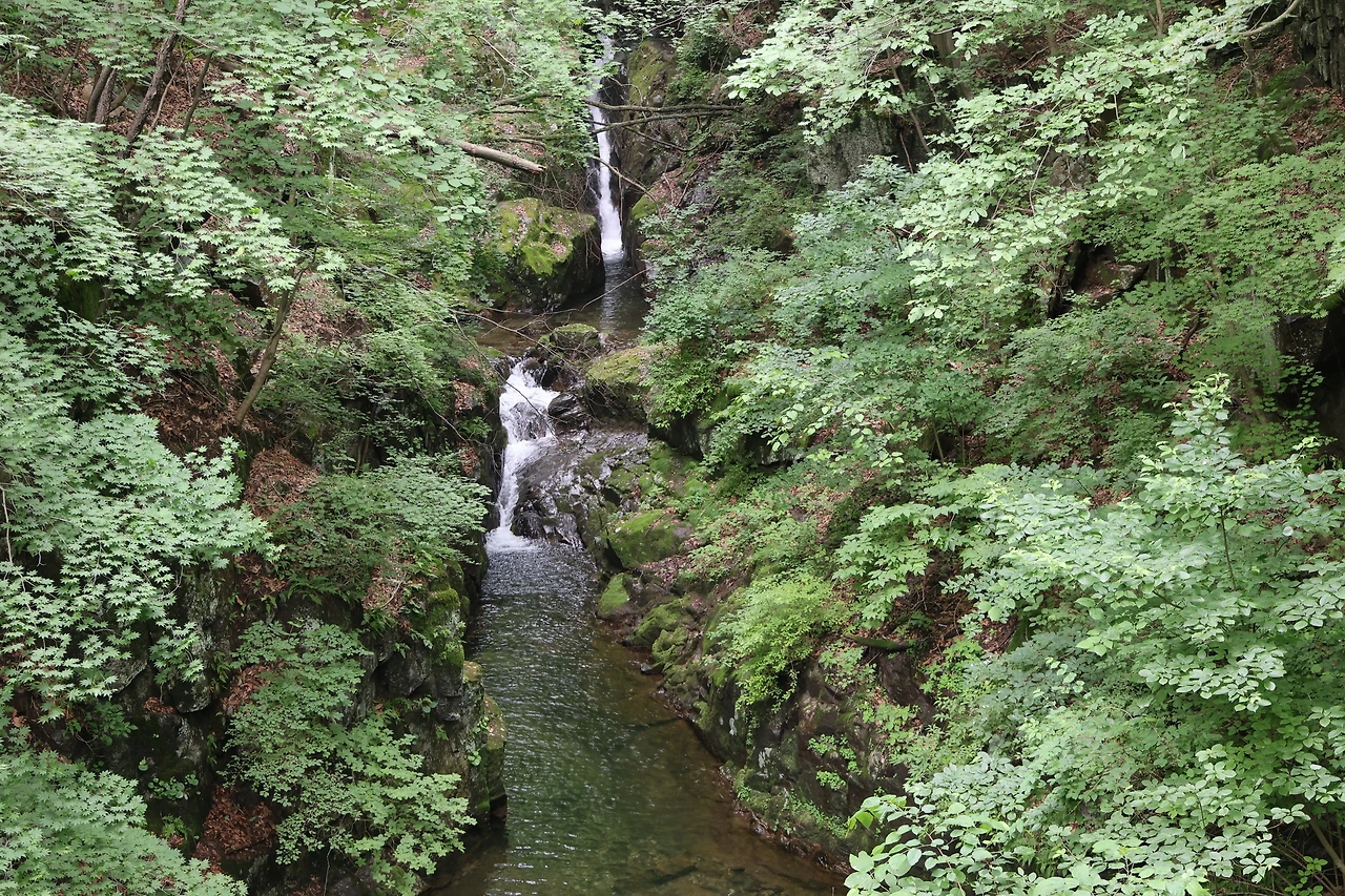 0R5A7514_новый размер.JPG