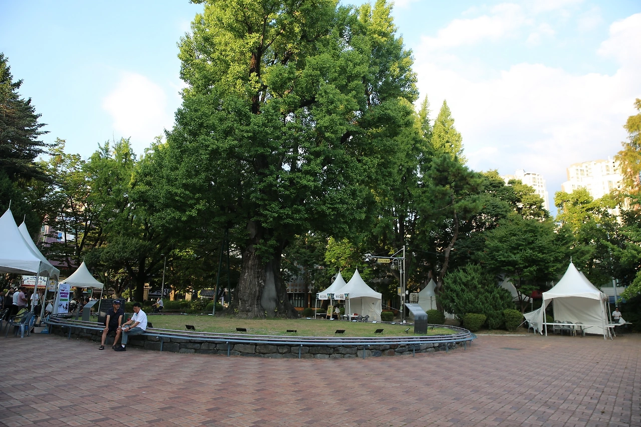 MG0A0194_новый размер.JPG