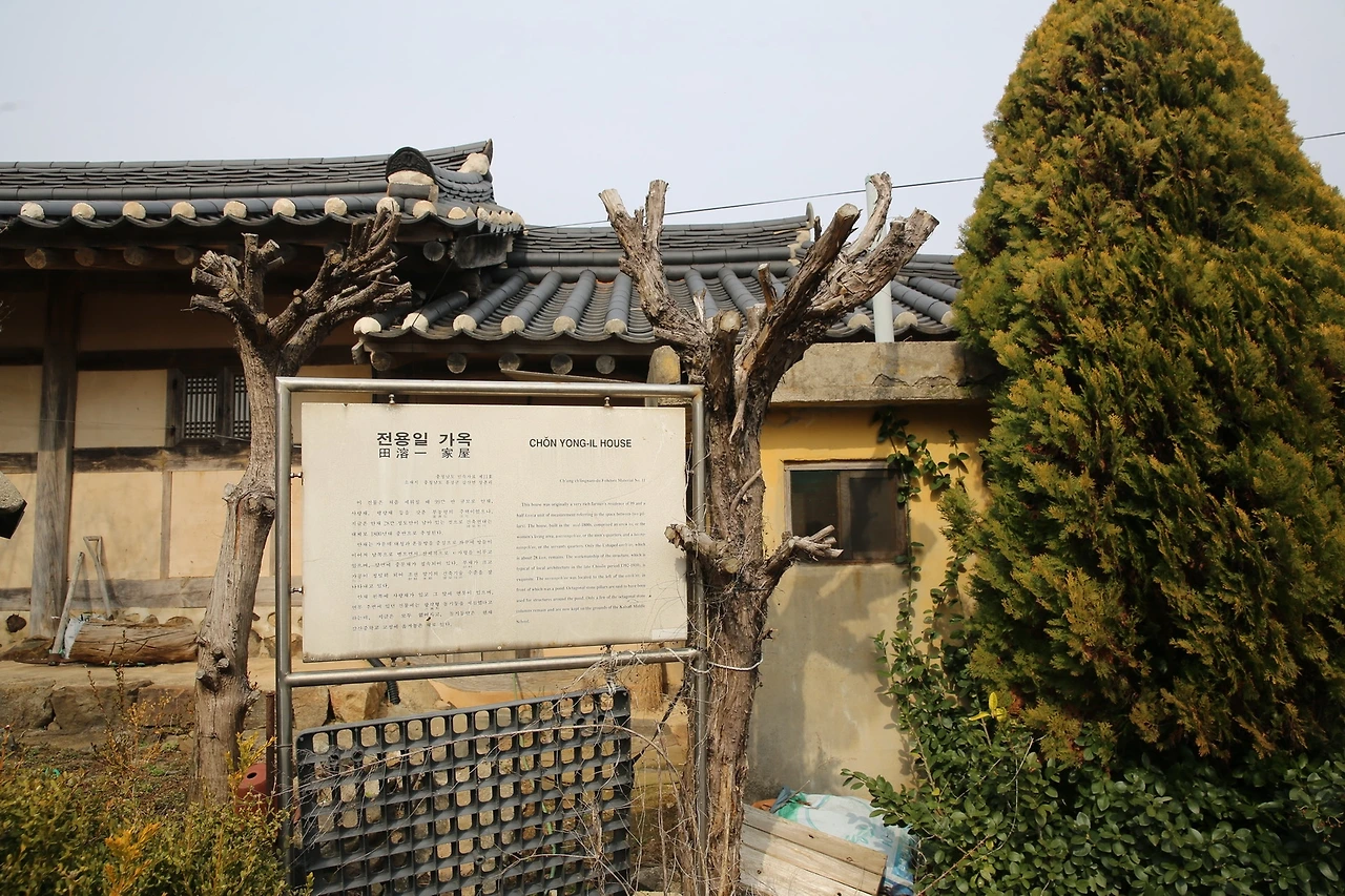 MG0A2170_новый размер.JPG