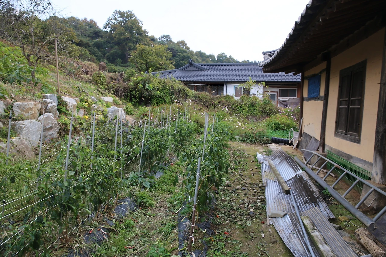 MG0A7584_новый размер.JPG