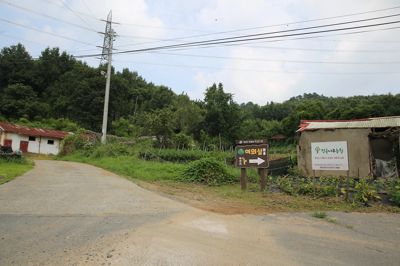 MG0A8963_новый размер.JPG