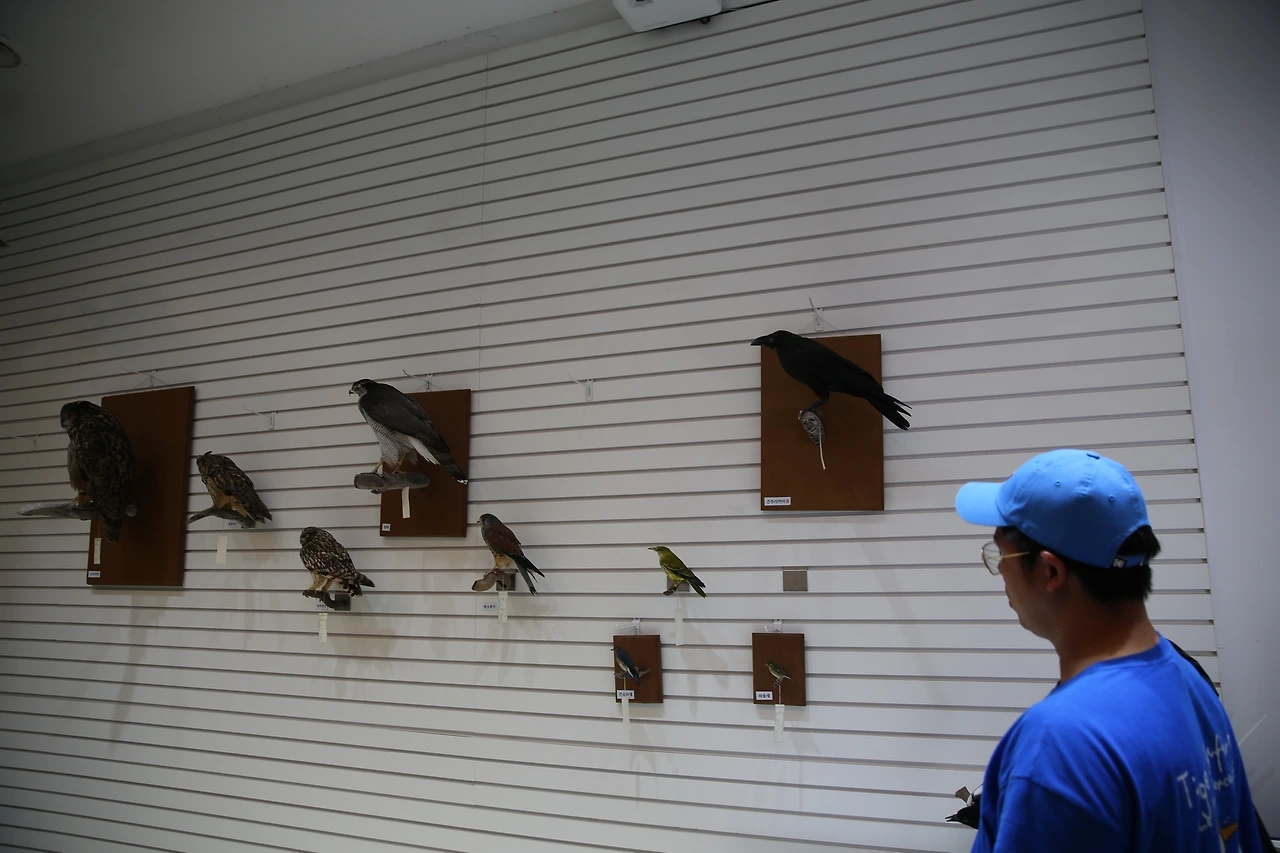 MG0A0052_новый размер.JPG