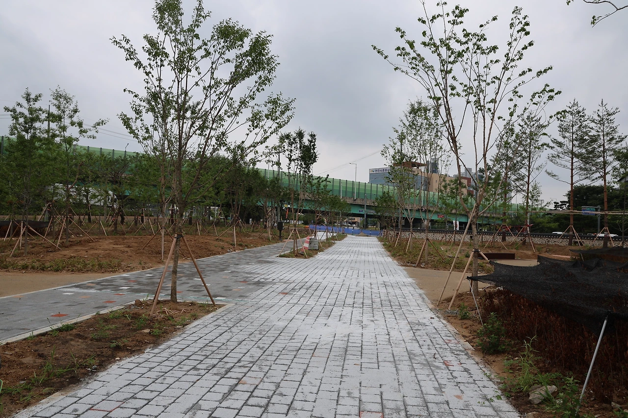 0R5A5644_новый размер.JPG