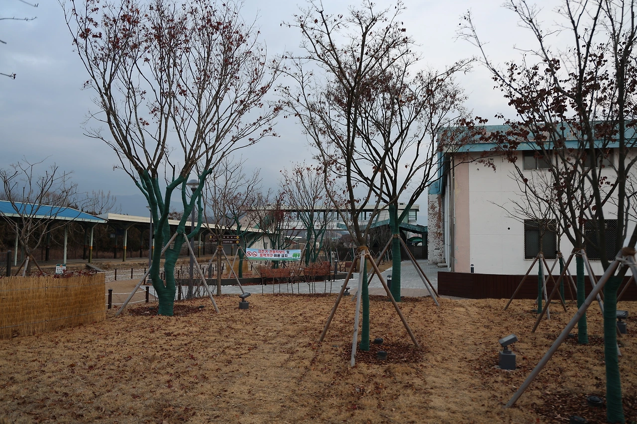 0R5A5948_новый размер.JPG