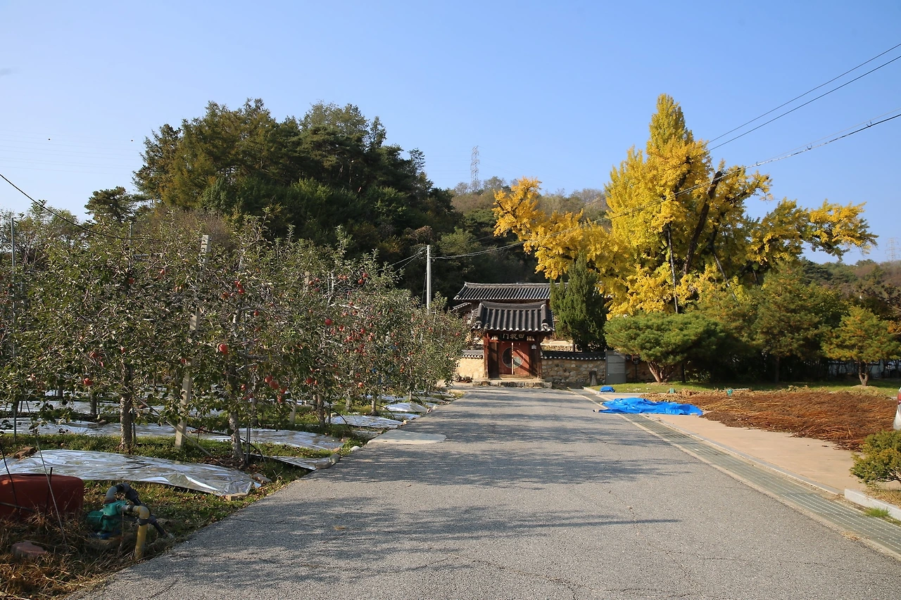 MG0A8358_новый размер.JPG