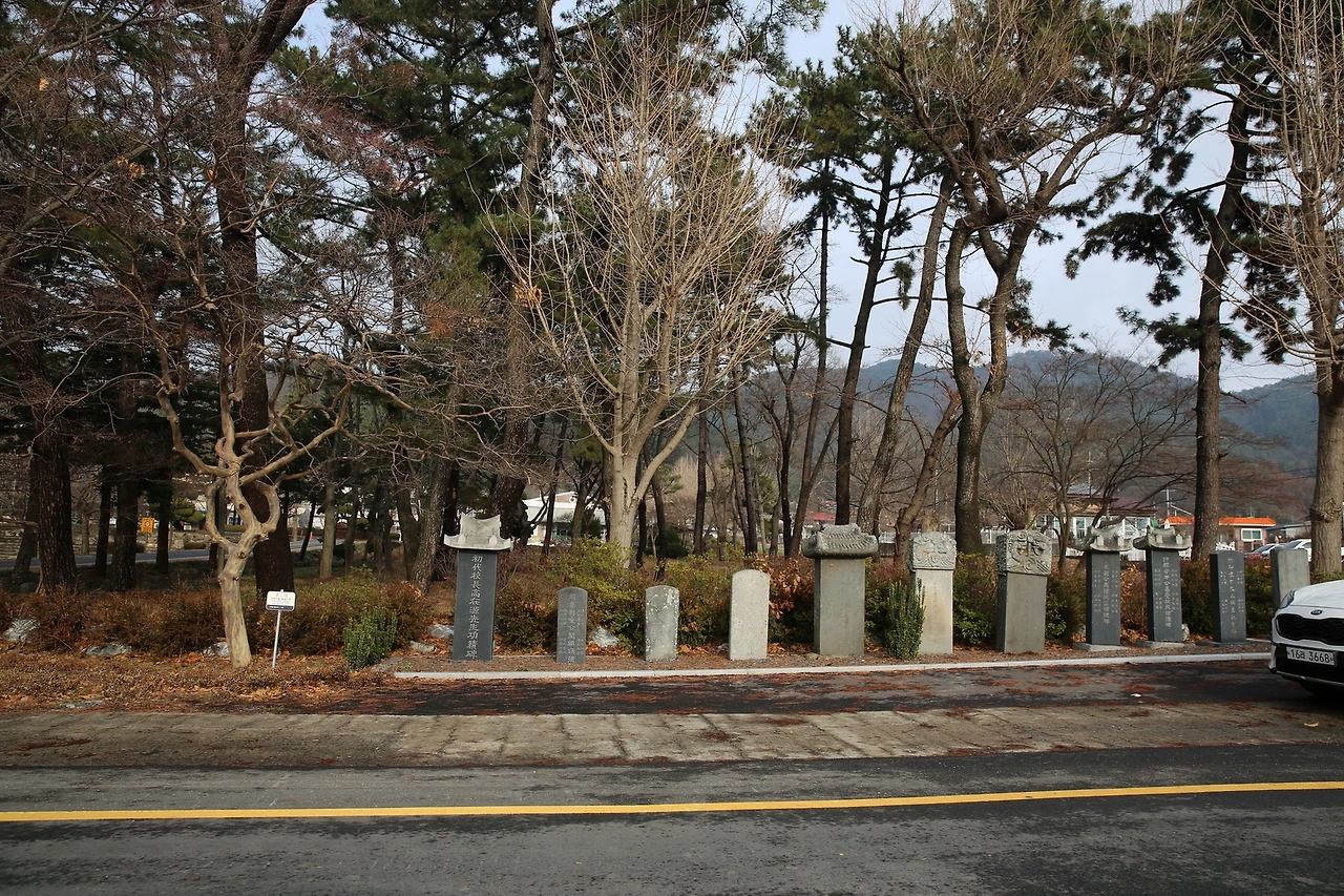 MG0A6845_новый размер.JPG