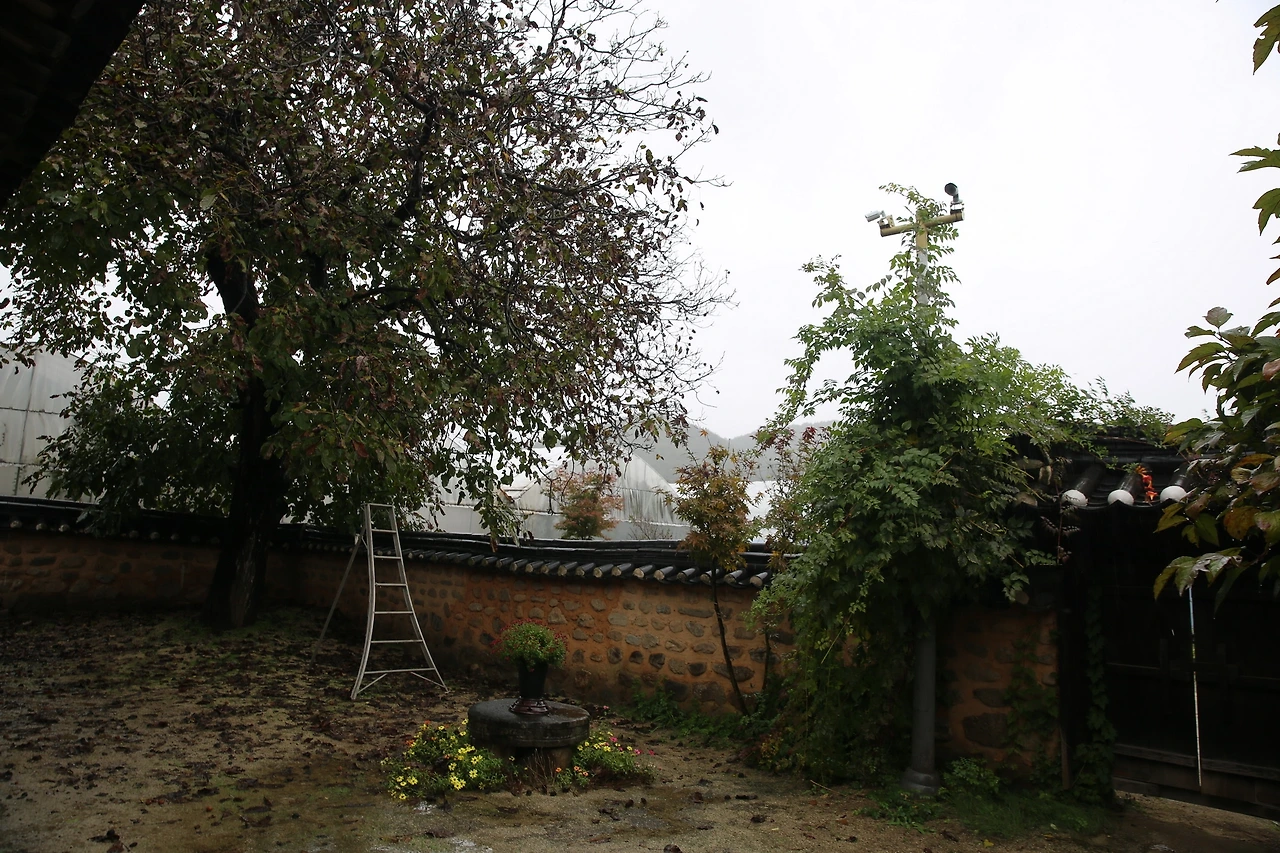 MG0A6001_новый размер.JPG