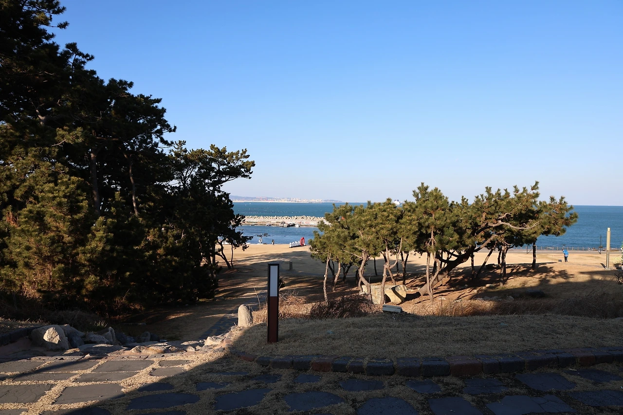 0R5A7933_новый размер.JPG