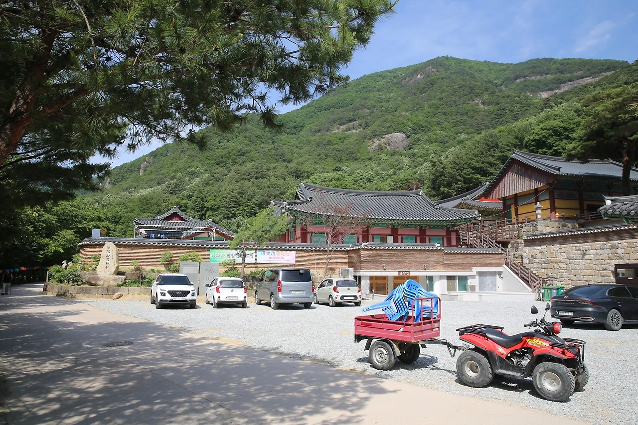 MG0A0687_новый размер.JPG