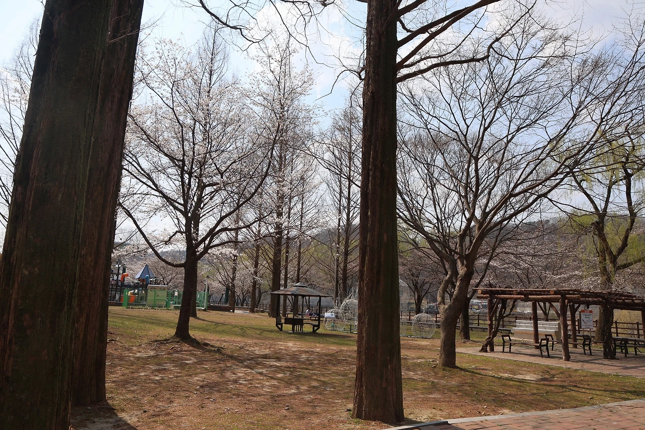 0R5A5668_новый размер.JPG