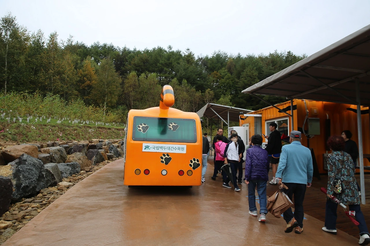 MG0A6180_новый размер.JPG