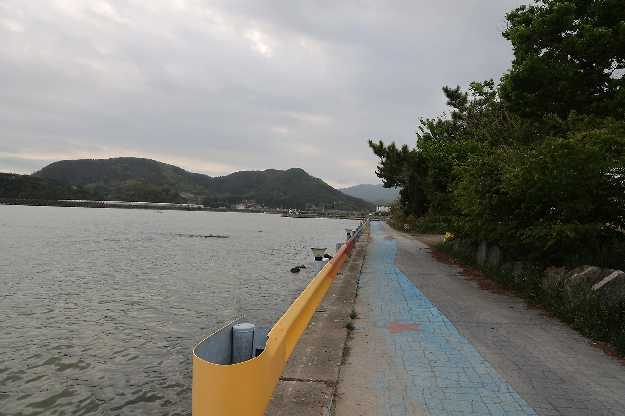 0R5A7743_новый размер.JPG