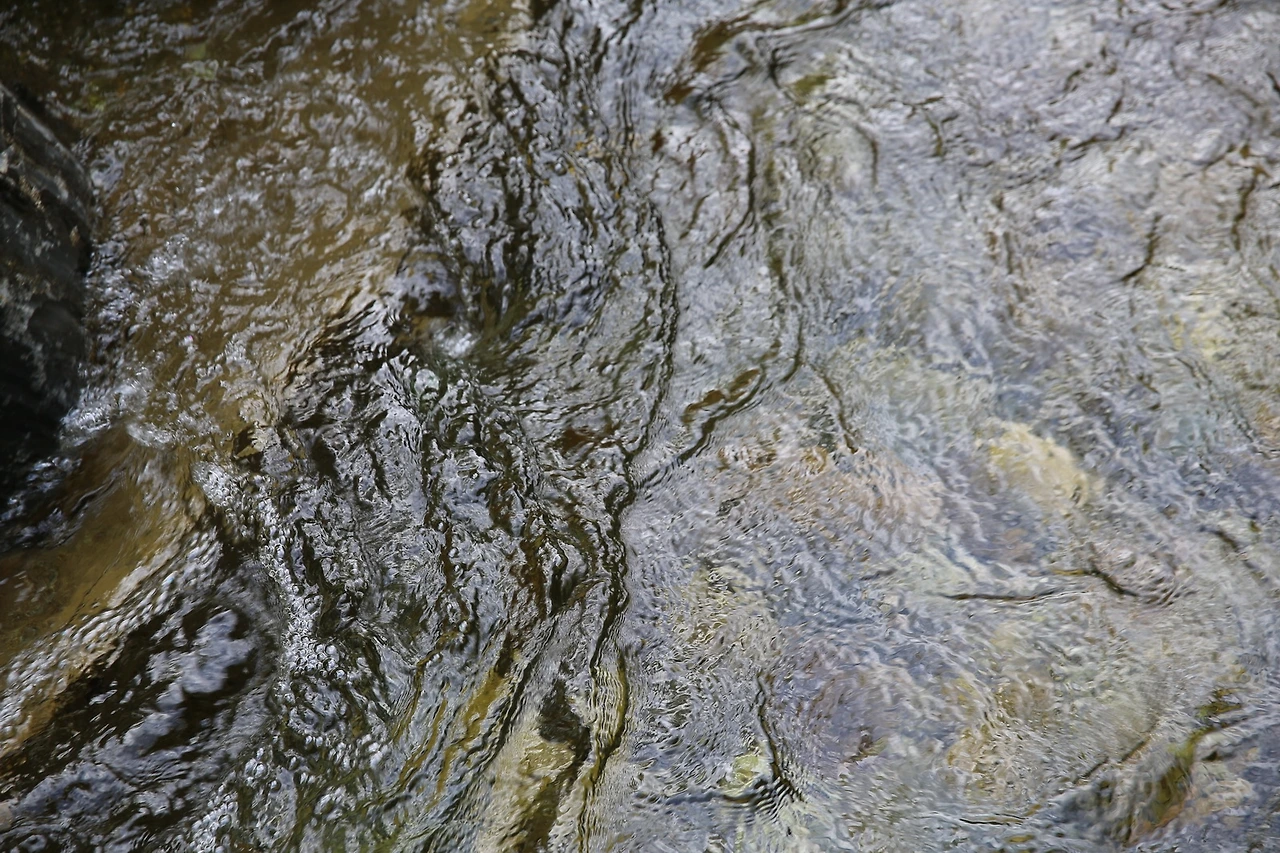 MG0A3943_новый размер.JPG