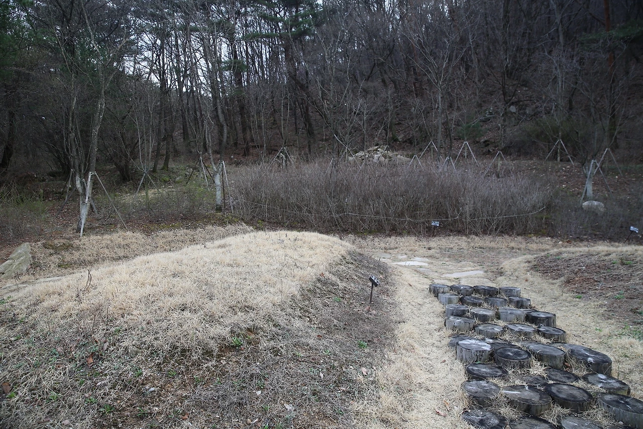 MG0A8387_новый размер.JPG