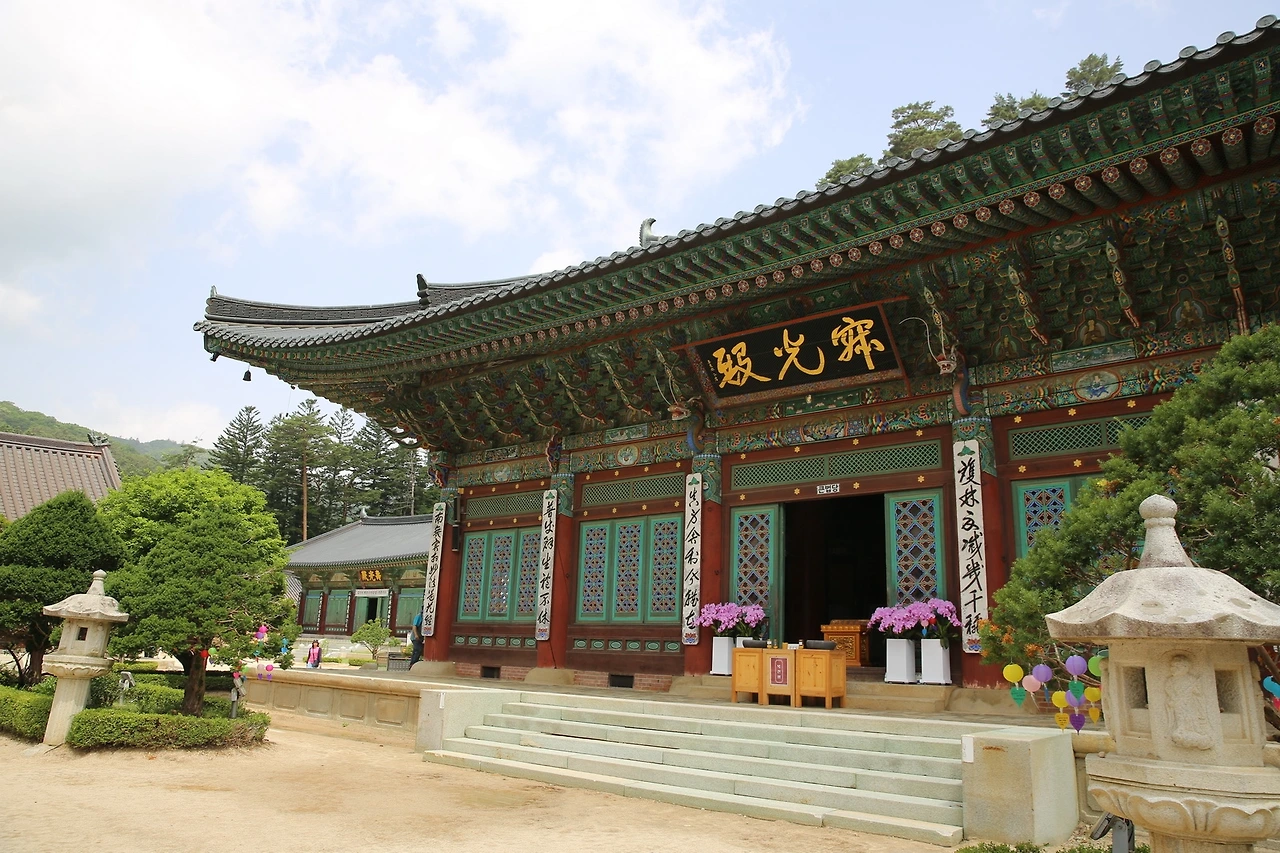 MG0A0785_новый размер - 복사본.JPG