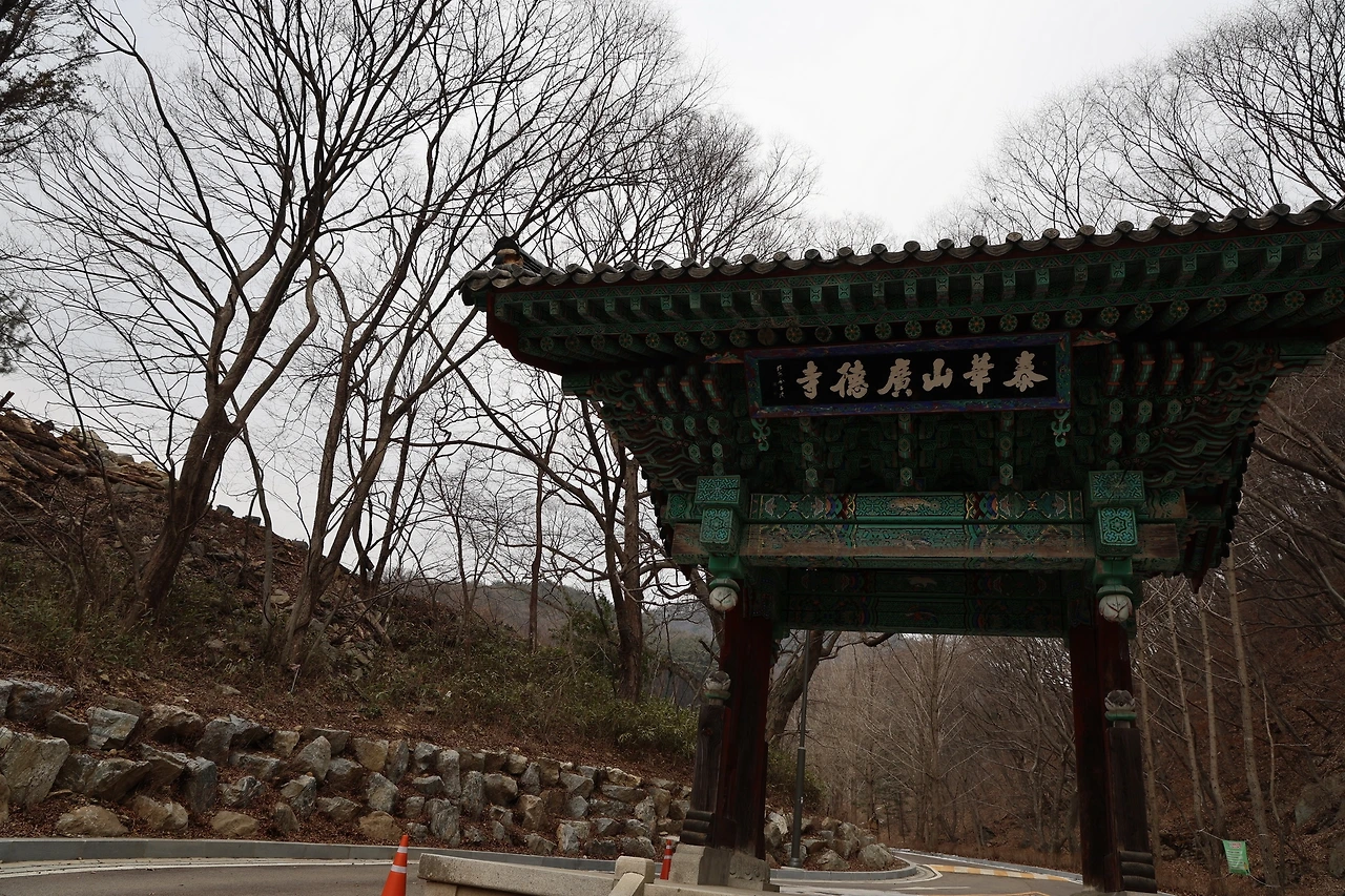 0R5A9554_новый размер.JPG