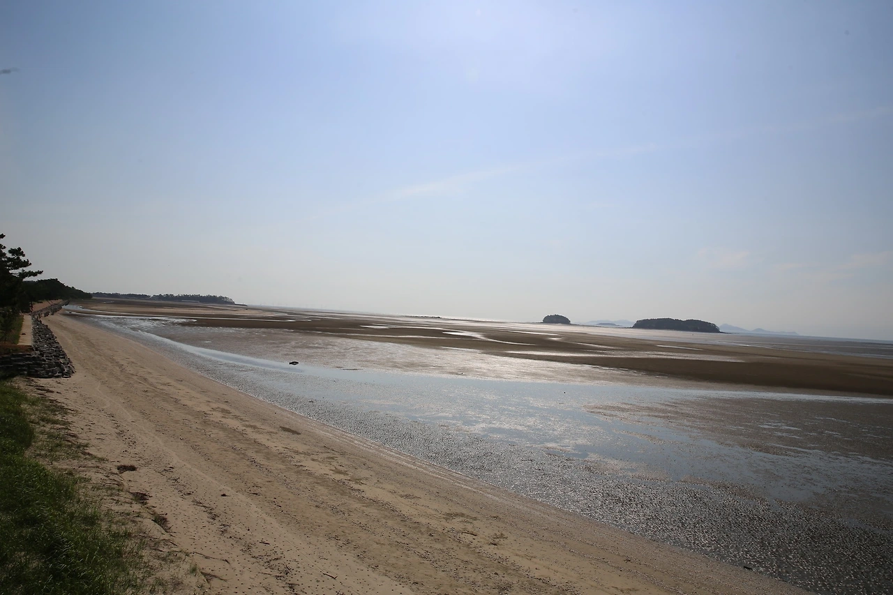 MG0A4623_новый размер.JPG