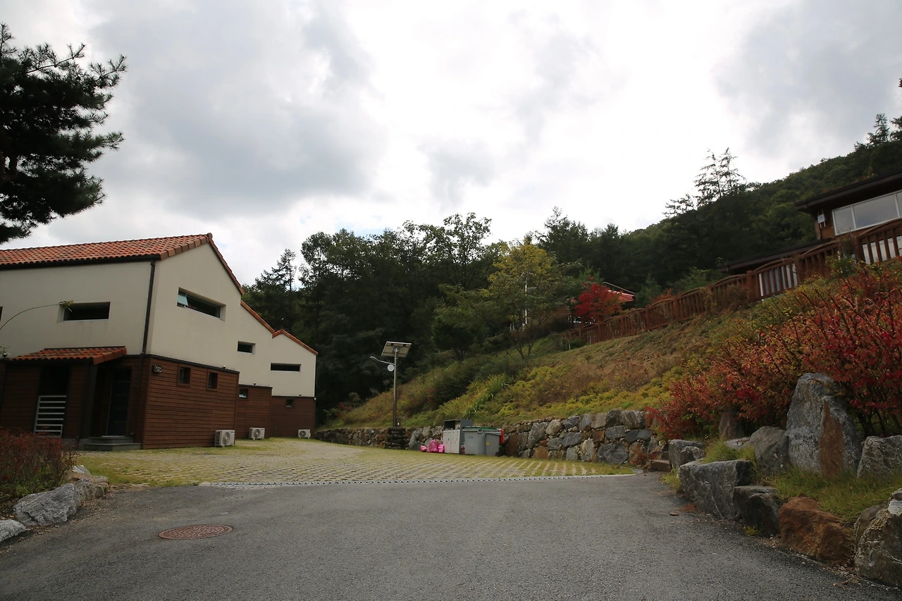 MG0A5587_новый размер.JPG