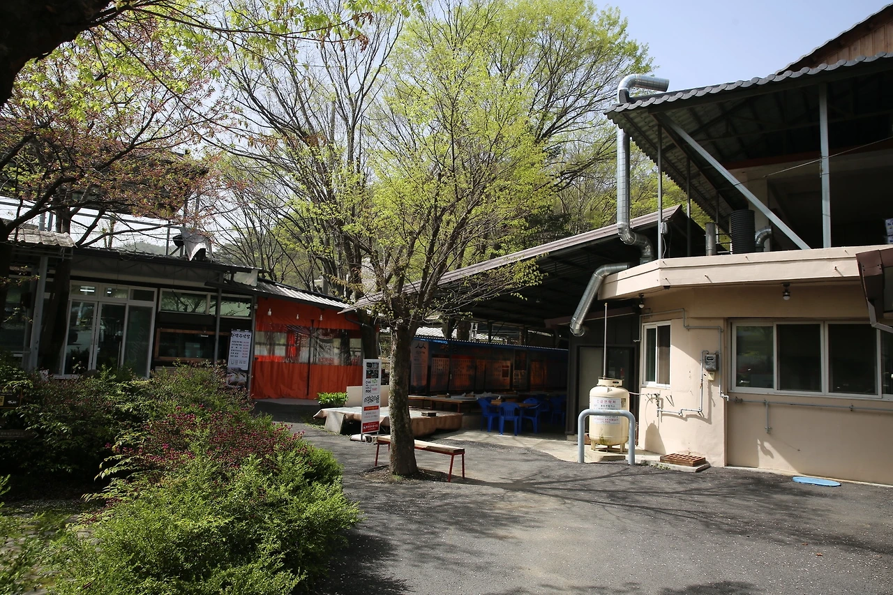 MG0A0120_новый размер.JPG