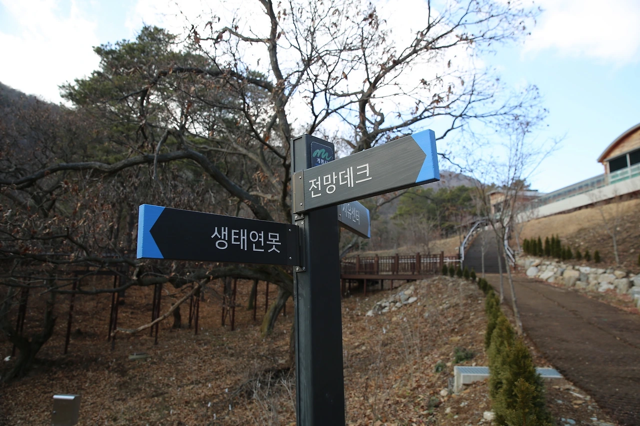 MG0A5546_новый размер.JPG