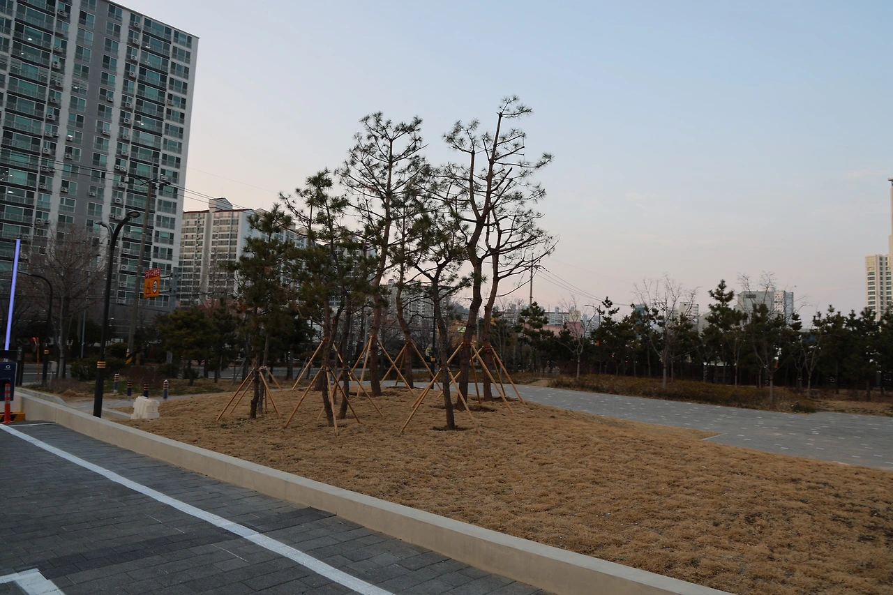 0R5A2072_новый размер.JPG