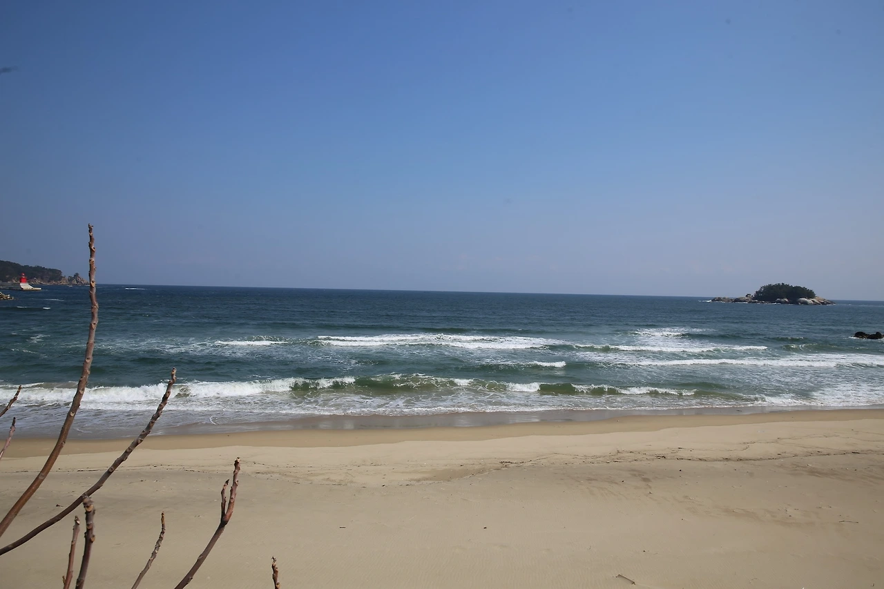 MG0A5170_новый размер.JPG