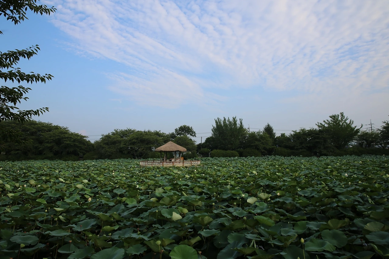 MG0A7149_новый размер.JPG