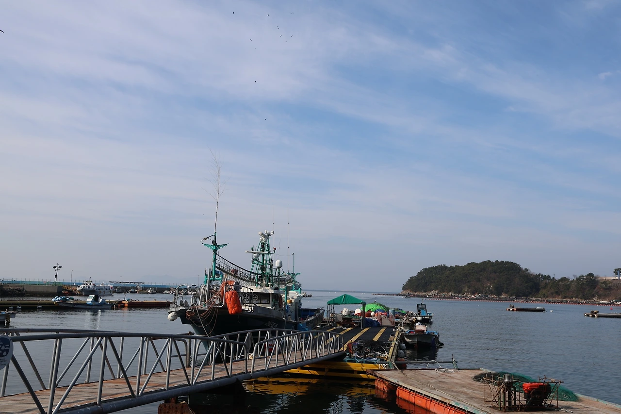 0R5A2219_новый размер.JPG