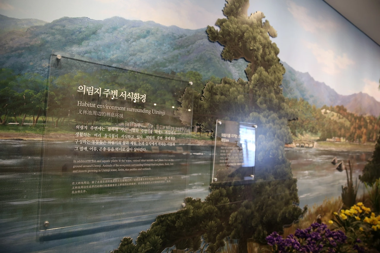 MG0A5077_новый размер.JPG